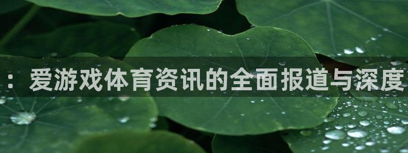 奇亿娱乐平台官方网站：：爱游戏体育资讯的全面报道与深度