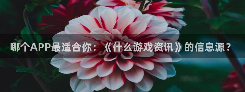 奇亿娱乐平台官网客服电话：哪个APP最适合你：《什么游戏资讯