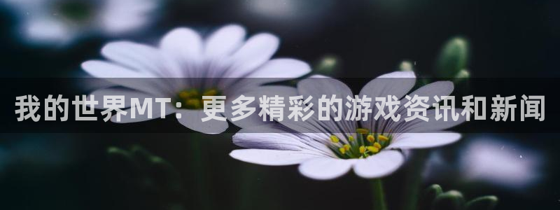 奇亿娱乐注册登录：我的世界MT：更多精彩的游戏资讯和新闻