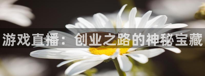 奇亿娱乐登录网址：游戏直播：创业之路的神秘宝藏