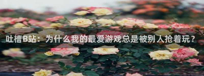 奇亿娱乐升级5994月：吐槽B站：为什么我的最爱游戏总是被别
