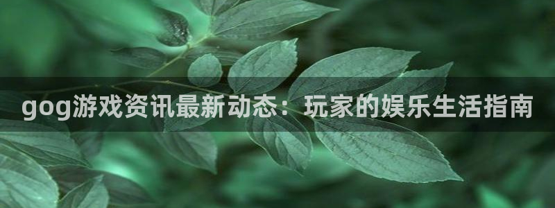 奇亿娱乐网页登录入口：gog游戏资讯最新动态：玩家的娱乐生活
